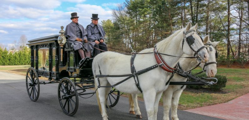 Reasons Why Horse Drawn Carriage Rides Are Inhuman | Wagner Pferde