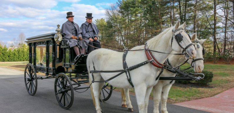 Reasons Why Horse Drawn Carriage Rides Are Inhuman | Wagner Pferde Reasons Why Horse Drawn Carriage Rides Are Inhuman | Wagner Pferde