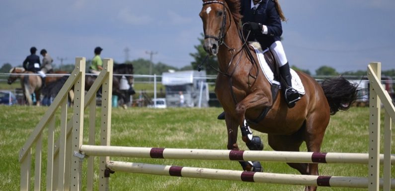 How To Look Like A Professional On The Saddle?