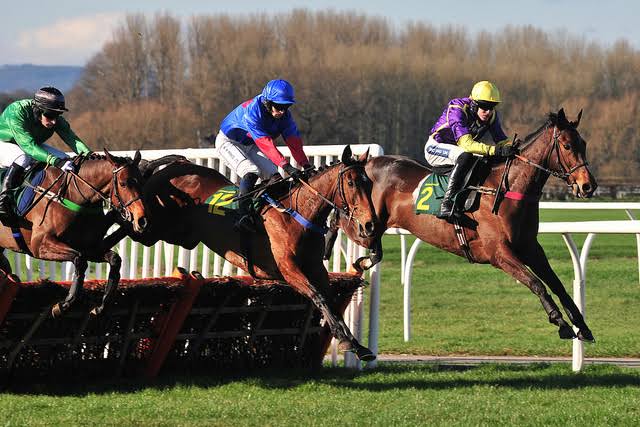 Horse race riding sport jockeys competition during tournament.