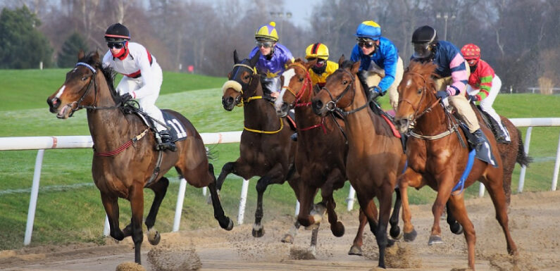 Top horse racing events across the globe