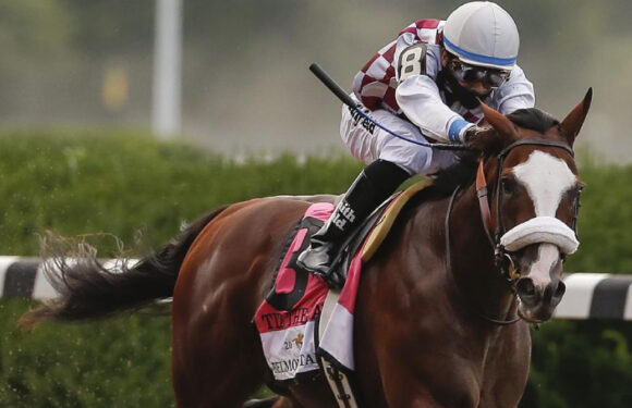 Betting On The Best Race Horses