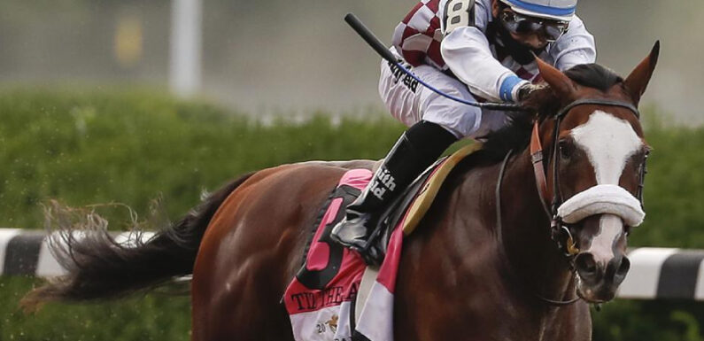 Betting On The Best Race Horses