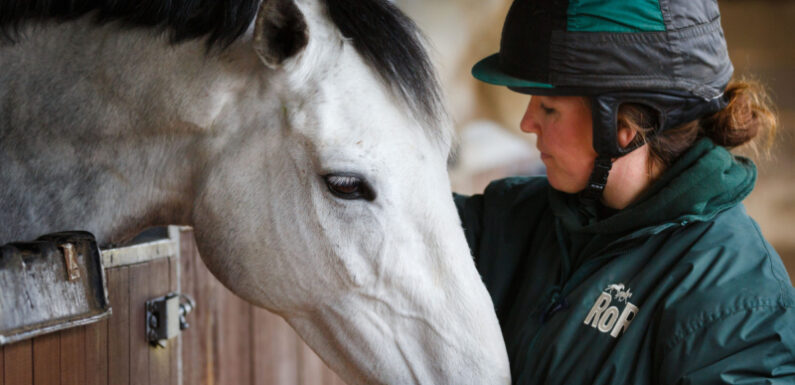 Caring tips for racehorses