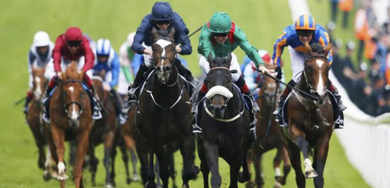 Interesting Facts About Horse Racing