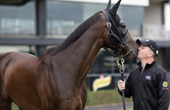 Race Horses And Their Incredible Journey