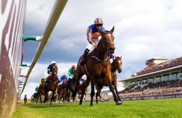 The Top 5 Horse Racing Racing Events That You Should Not Miss