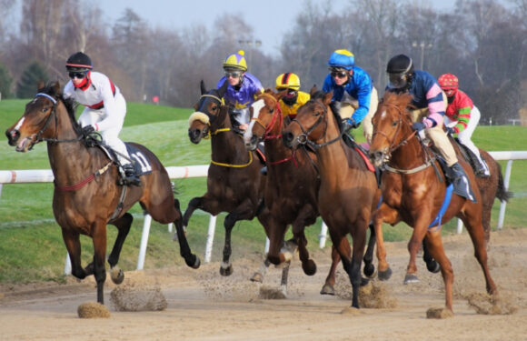 Horse Racing – A Great Sporting Event