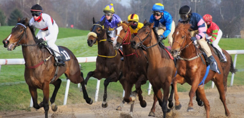 Horse Racing – A Great Sporting Event