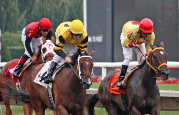 An Easy Guide To Win Money In A Horse Racing Bet