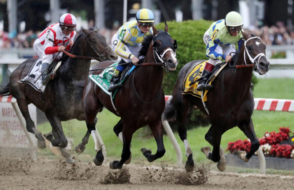 Interesting Facts About The Most Famous Race Horses The World Has Seen