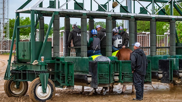 Green starting gates in a muddy ground with horses,trainers and riders.Starting gates training for horses.